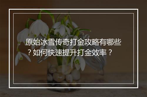 原始冰雪传奇打金攻略有哪些？如何快速提升打金效率？
