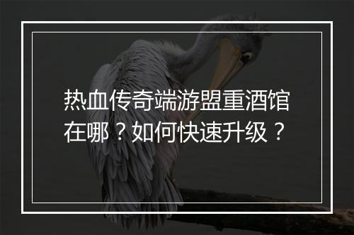 热血传奇端游盟重酒馆在哪？如何快速升级？
