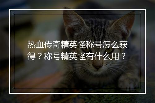 热血传奇精英怪称号怎么获得？称号精英怪有什么用？