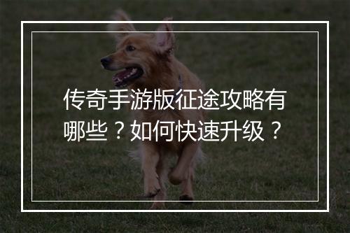 传奇手游版征途攻略有哪些？如何快速升级？
