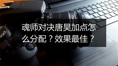 魂师对决唐昊加点怎么分配？效果最佳？