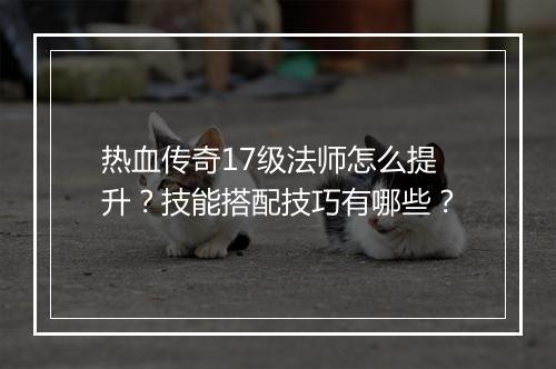 热血传奇17级法师怎么提升？技能搭配技巧有哪些？