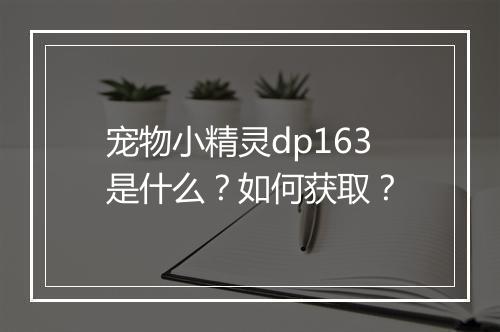 宠物小精灵dp163是什么？如何获取？