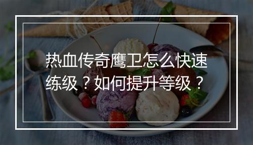 热血传奇鹰卫怎么快速练级？如何提升等级？