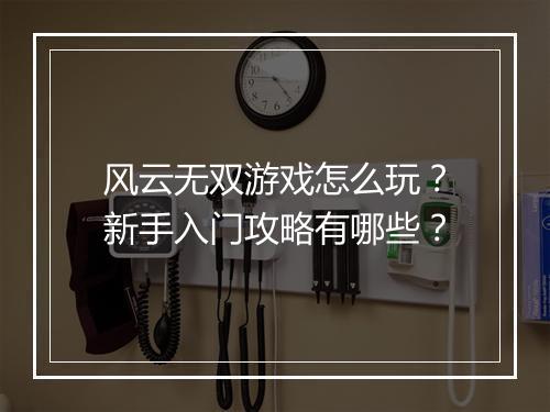 风云无双游戏怎么玩？新手入门攻略有哪些？