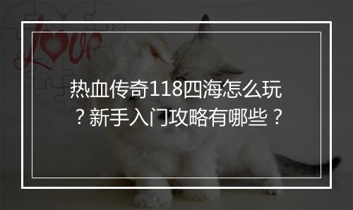热血传奇118四海怎么玩？新手入门攻略有哪些？