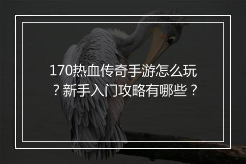 170热血传奇手游怎么玩？新手入门攻略有哪些？