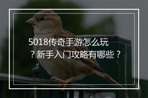 5018传奇手游怎么玩？新手入门攻略有哪些？