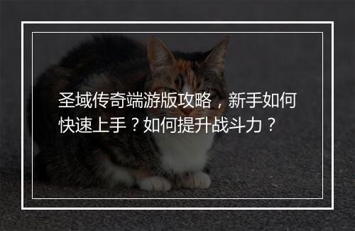 圣域传奇端游版攻略，新手如何快速上手？如何提升战斗力？