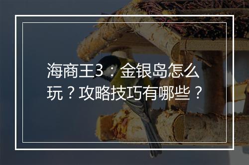海商王3：金银岛怎么玩？攻略技巧有哪些？