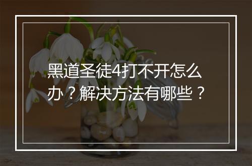 黑道圣徒4打不开怎么办？解决方法有哪些？