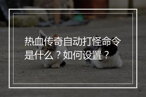 热血传奇自动打怪命令是什么？如何设置？