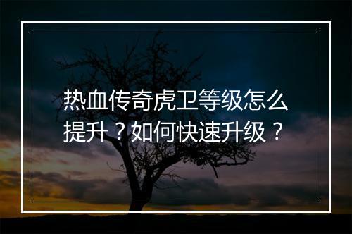 热血传奇虎卫等级怎么提升？如何快速升级？