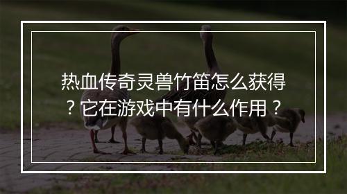 热血传奇灵兽竹笛怎么获得？它在游戏中有什么作用？