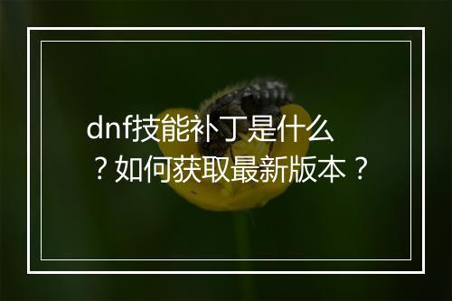 dnf技能补丁是什么？如何获取最新版本？