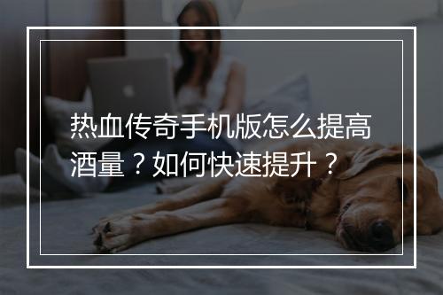 热血传奇手机版怎么提高酒量？如何快速提升？