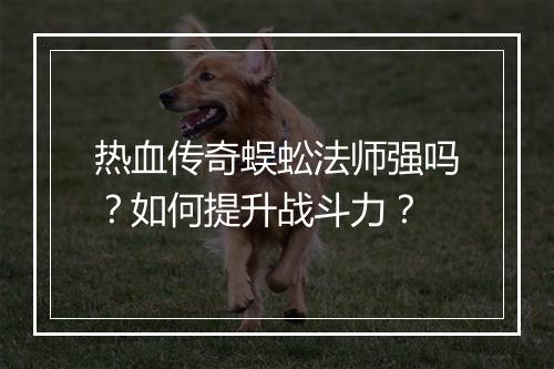 热血传奇蜈蚣法师强吗？如何提升战斗力？