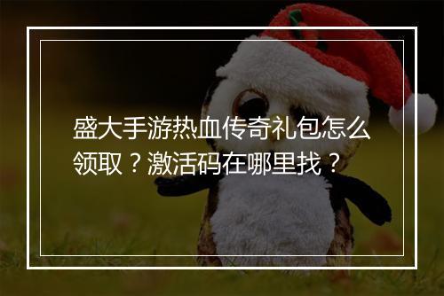 盛大手游热血传奇礼包怎么领取？激活码在哪里找？