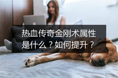 热血传奇金刚术属性是什么？如何提升？