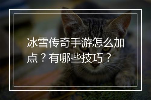 冰雪传奇手游怎么加点？有哪些技巧？