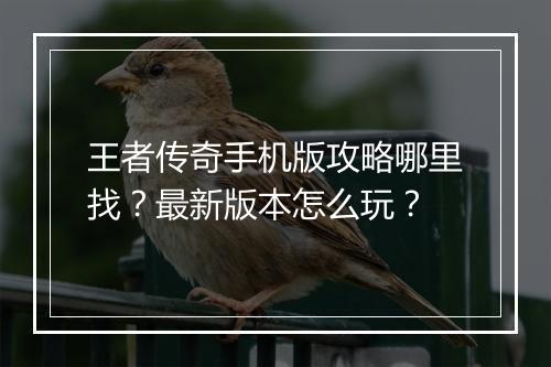 王者传奇手机版攻略哪里找？最新版本怎么玩？