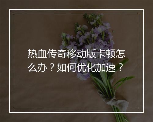 热血传奇移动版卡顿怎么办？如何优化加速？