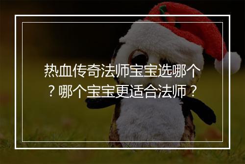 热血传奇法师宝宝选哪个？哪个宝宝更适合法师？