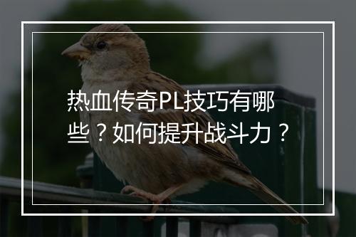 热血传奇PL技巧有哪些？如何提升战斗力？