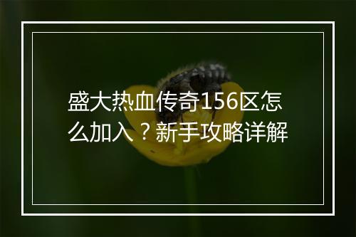 盛大热血传奇156区怎么加入？新手攻略详解