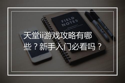 天堂ii游戏攻略有哪些？新手入门必看吗？