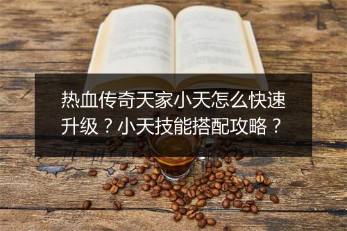 热血传奇天家小天怎么快速升级？小天技能搭配攻略？