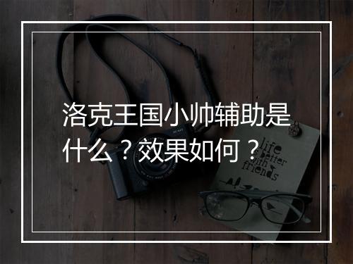 洛克王国小帅辅助是什么？效果如何？