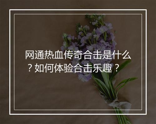 网通热血传奇合击是什么？如何体验合击乐趣？