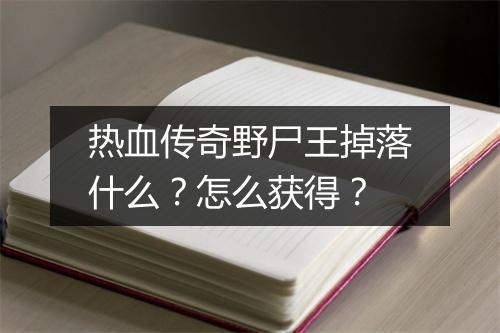 热血传奇野尸王掉落什么？怎么获得？