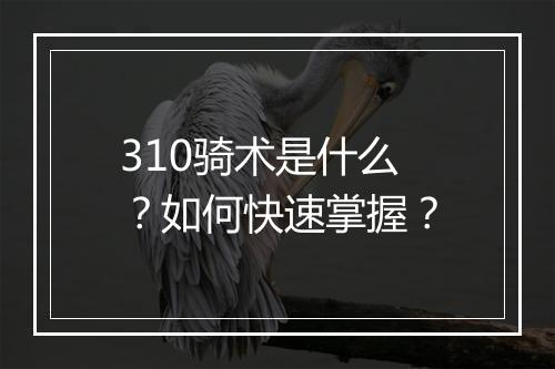 310骑术是什么？如何快速掌握？
