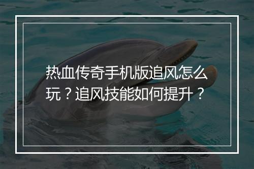 热血传奇手机版追风怎么玩？追风技能如何提升？