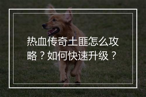 热血传奇土匪怎么攻略？如何快速升级？