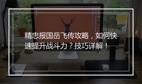 精忠报国岳飞传攻略，如何快速提升战斗力？技巧详解！