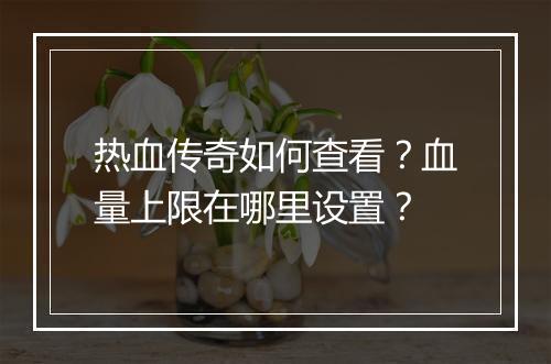 热血传奇如何查看？血量上限在哪里设置？