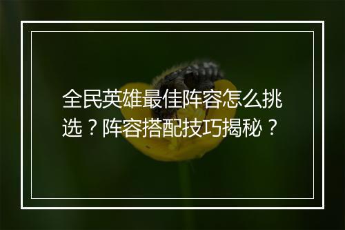 全民英雄最佳阵容怎么挑选？阵容搭配技巧揭秘？