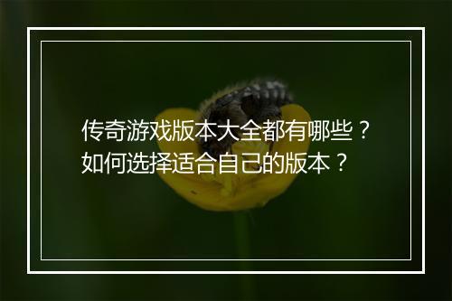 传奇游戏版本大全都有哪些？如何选择适合自己的版本？