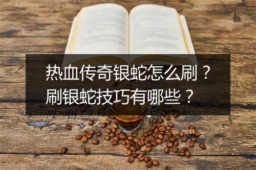 热血传奇银蛇怎么刷？刷银蛇技巧有哪些？