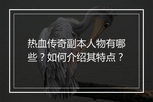 热血传奇副本人物有哪些？如何介绍其特点？