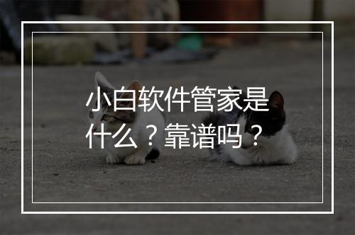 小白软件管家是什么？靠谱吗？