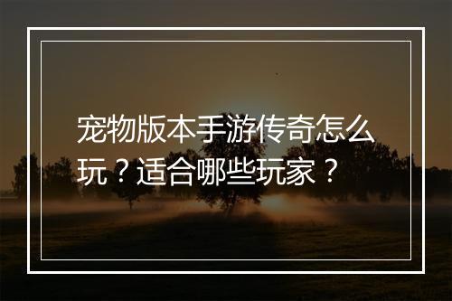 宠物版本手游传奇怎么玩？适合哪些玩家？