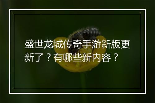 盛世龙城传奇手游新版更新了？有哪些新内容？