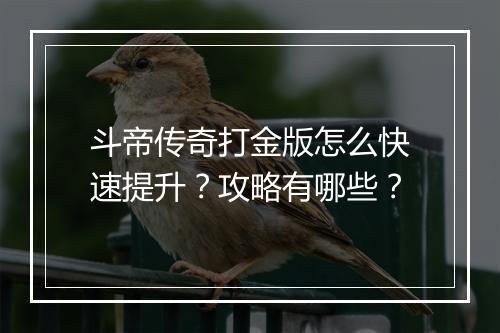 斗帝传奇打金版怎么快速提升？攻略有哪些？