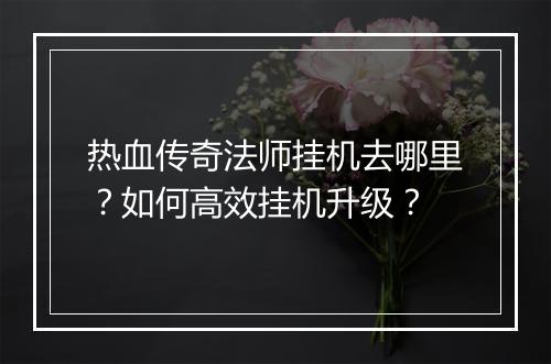 热血传奇法师挂机去哪里？如何高效挂机升级？