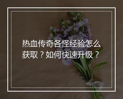 热血传奇各怪经验怎么获取？如何快速升级？