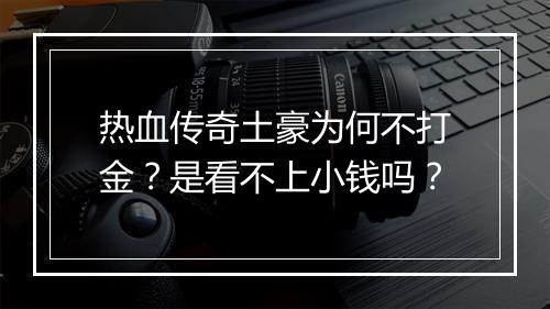 热血传奇土豪为何不打金？是看不上小钱吗？
